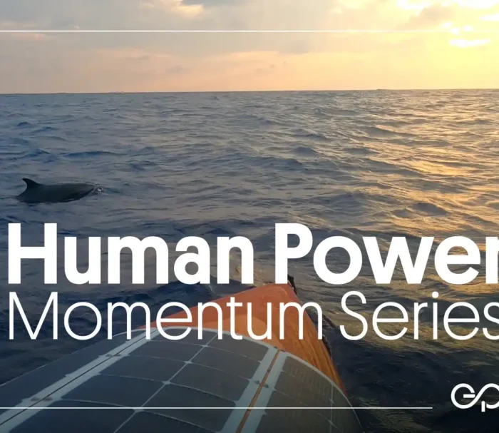 Human powered boat crossing the bay of bengal with sunset and dolphin